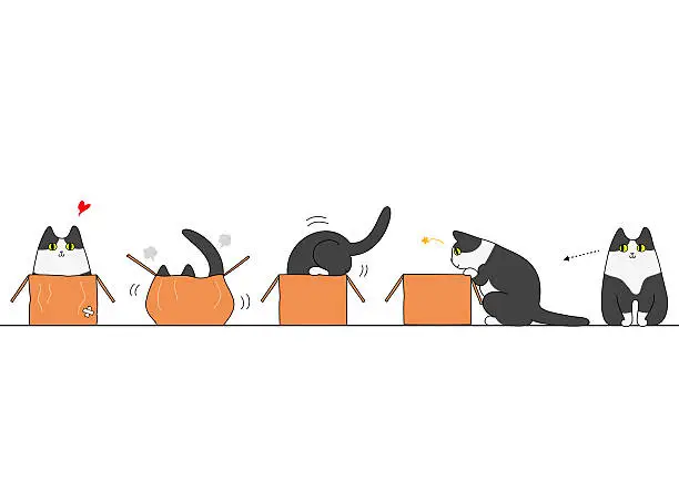 Vector illustration of Cat going into a box