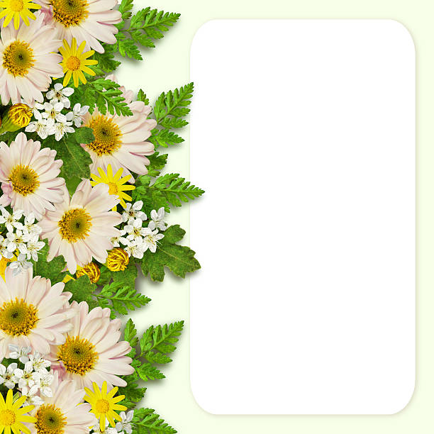 istock Asters and wild flowers decoration with card 505208076