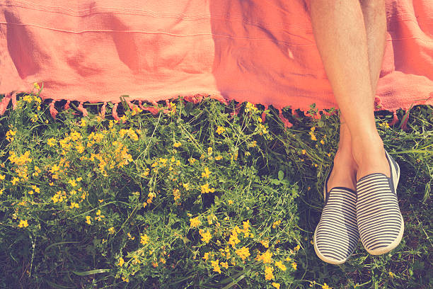 istock Relaxing in a meadow in the summer sun. 505208108
