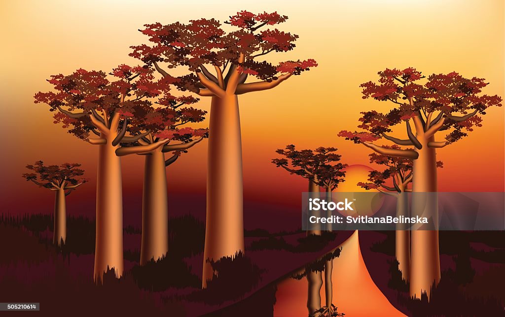 Sunset in the African baobab forest 1 Sunset in the African baobab forest near the river Africa stock vector