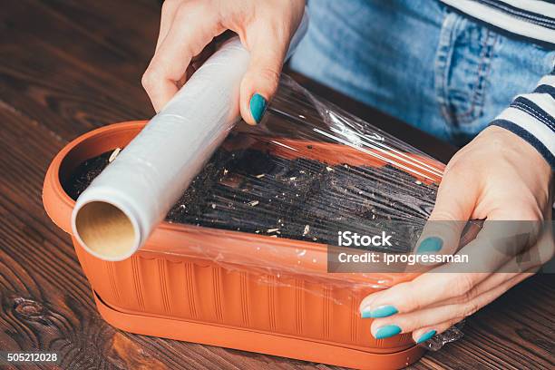 Womens Hands With Bright Manicure Is Covered Of Plastic Wrap Stock Photo - Download Image Now