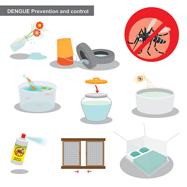 ilustrações de stock, clip art, desenhos animados e ícones de dengue prevenção e controlo - mosquito mosquito netting protection insect