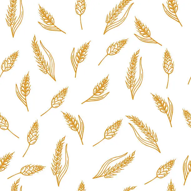 Vector illustration of Hand drawn seamless pattern with ears of wheat