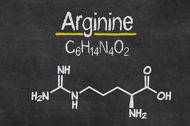 lavagna con formula chimica del arginine - arginine foto e immagini stock