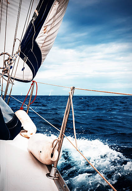 istock The white sails of yachts 505214986