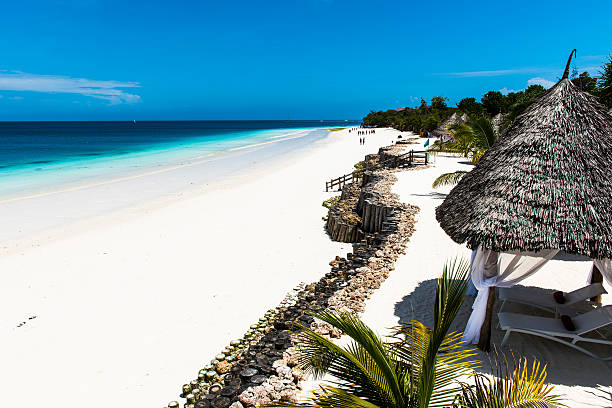 istock Beautiful Beach in Zanzibar 505216988