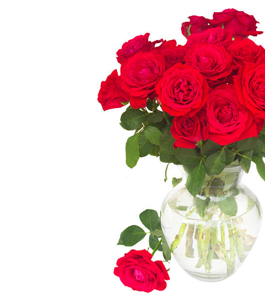 istock bouquet of fresh roses 505217362