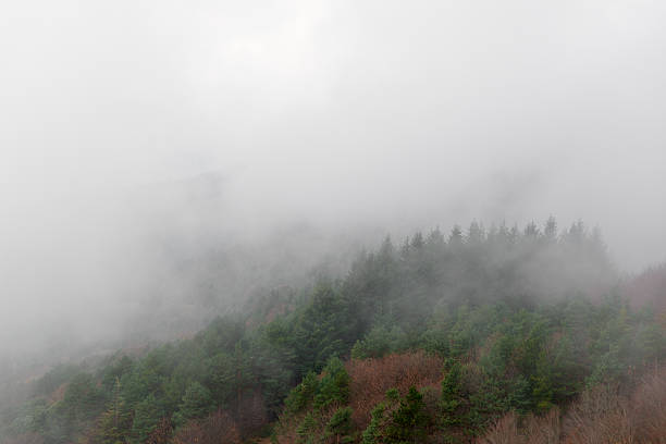 Free Stock Photo of Mountain Covered in Fog With Trees in Background ...