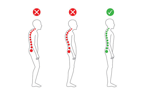 ilustrações de stock, clip art, desenhos animados e ícones de alinhamento correcto do corpo em pé a postura - good posture