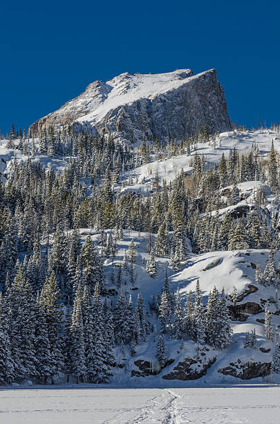 istock Snow Covered Mountain in Colorado Wilderness 505218788