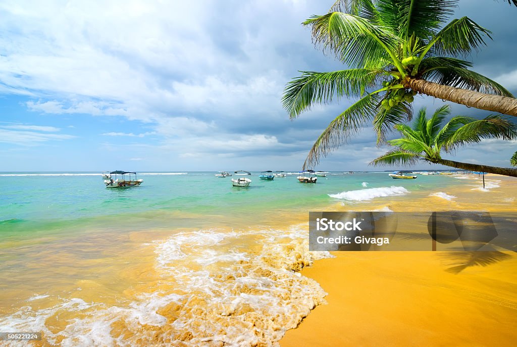 Boats near beach Boats in the ocean near sandy beach and palm trees Sri Lanka Stock Photo