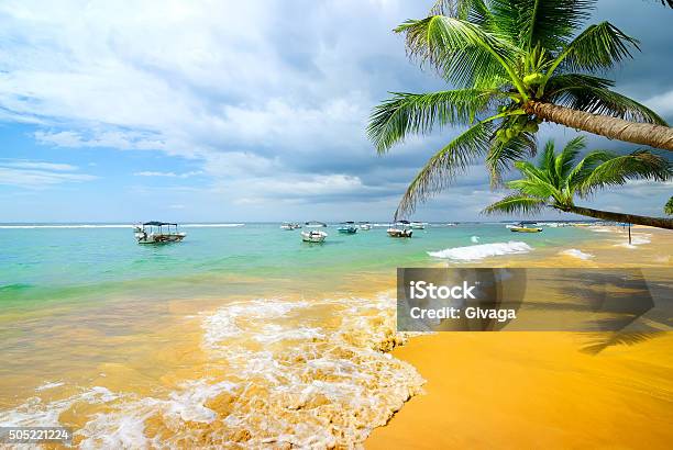 Boats Near Beach Stock Photo - Download Image Now - Sri Lanka, Asia, Bay of Water