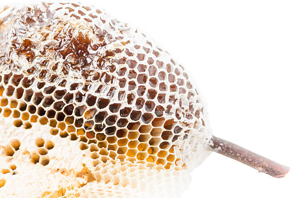 istock close up of beehive isolated 505221228