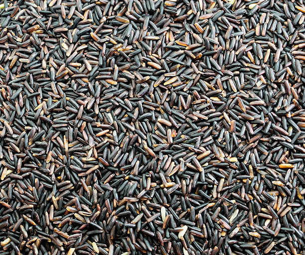istock Black rice Thailand (Berry rice), organic rice 505221440