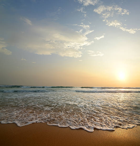 istock Coast of the ocean 505221570