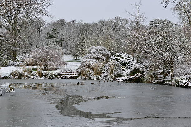 istock Snow in Surrey England 505222822