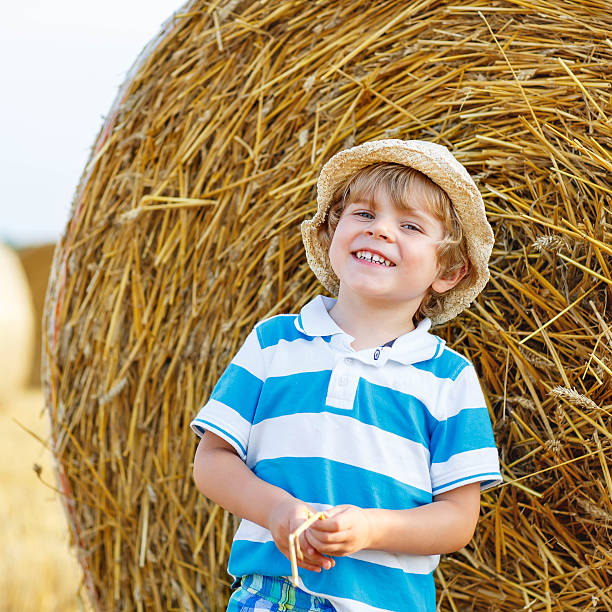 istock Little kid boy having fun with hay bale in summer 505222902