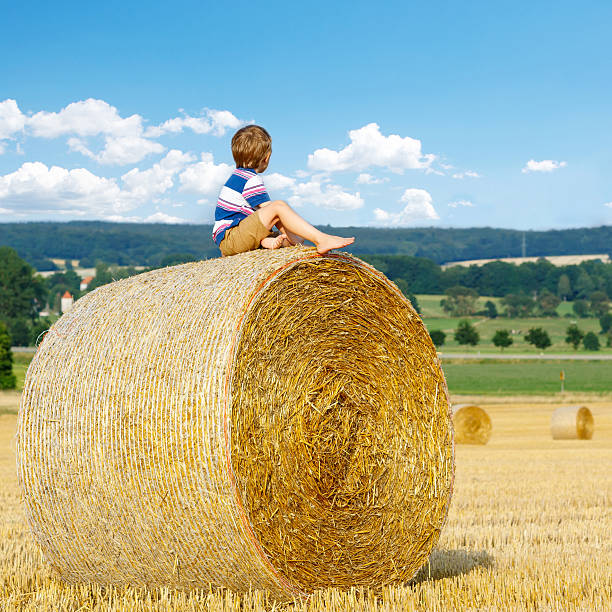 istock Little kid boy sitting on hay bale in summer 505223010