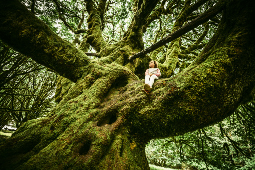Little Girl Sitting on Centennial moss covered Tree at Olympic National Park in Washington State. USA.