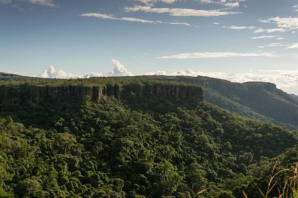 Chapada dos Guimaraes - Mato Grosso - Brazil View from the trail to get to the cascate Chapada Dos Guimaraes - Mato Grosso - Brazil, also known as the Veil of the bride grosso stock pictures, royalty-free photos & images