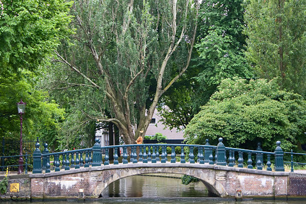 istock Little bridge in Amsterdam 505229001