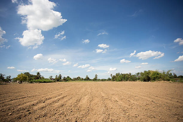 istock prepare plantation with blue sky 505229047