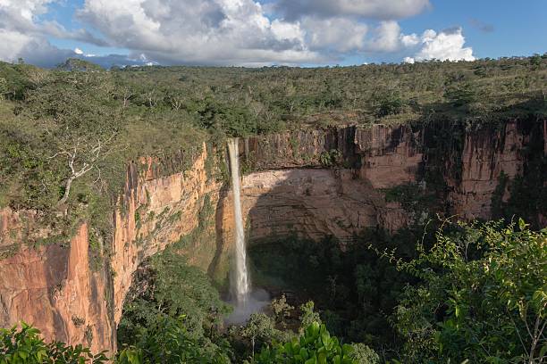 istock Chapada dos Guimaraes - Mato Grosso - Brazil 505229063
