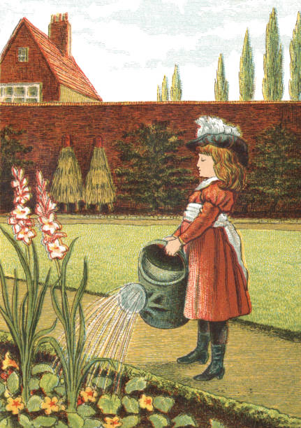 victorian mädchen gießen ein flowerbed - ummauerter garten stock-grafiken, -clipart, -cartoons und -symbole