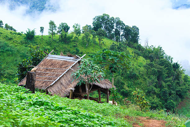 istock Old hut on the hill, Chiangrai, Thailand. 505230004