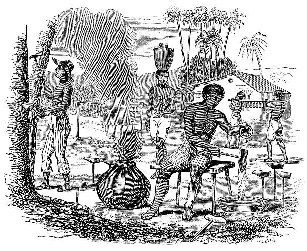 Brazil slaves working on caoutchouc plantation harvesting rubber Brazil slaves working on caoutchouc plantation harvesting rubber in Pará. drawing of slaves working stock illustrations