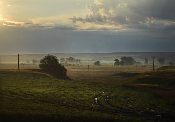 istock Landscape in fog 505231249