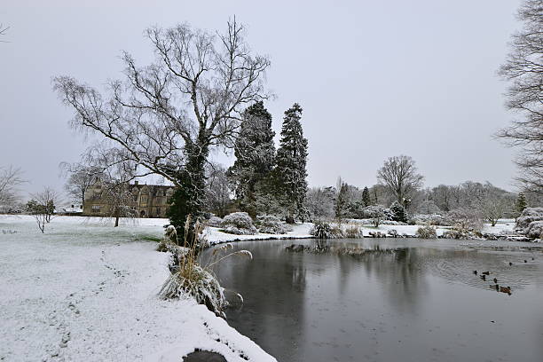 istock Snow in Surrey England 505231548