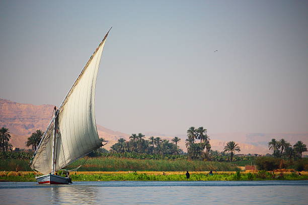 View of feluka boat sailing in the Nile river, Egypt View of feluka boat sailing in the Nile river close to Luxor harbor, Egypt. felucca boat stock pictures, royalty-free photos & images