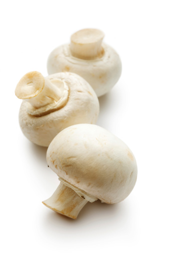 Mushrooms: Mushroom