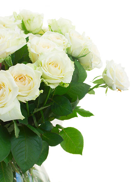 istock bouquet of fresh roses 505232688