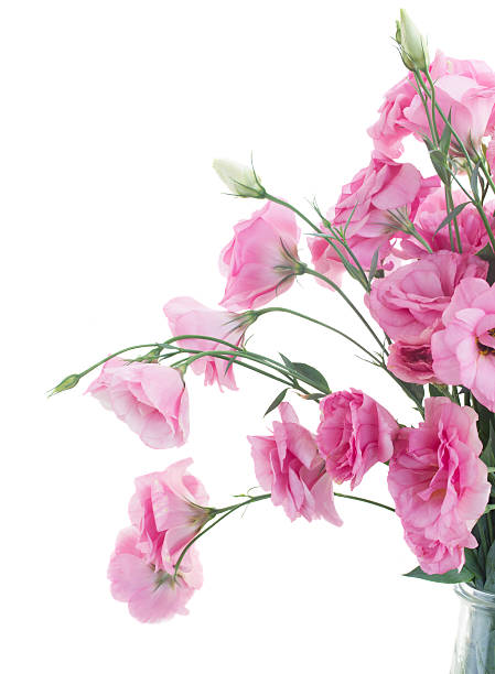 istock bouquet of fresh roses 505232718