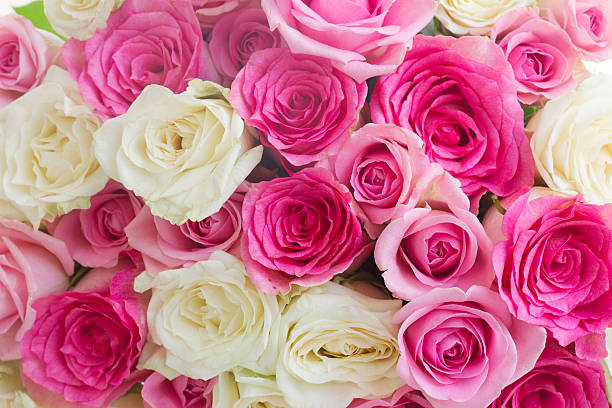 istock bouquet of fresh roses 505232864