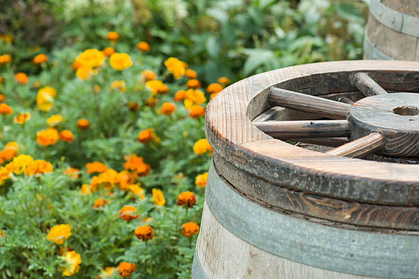 Antique wheel and barrels in a garden