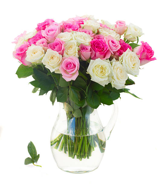 bouquet of pink and white fresh roses isolated on white background