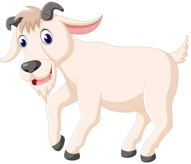 100+ Cute Cartoon Gray Goat Mammal Farm Animal Vector Illustrations ...