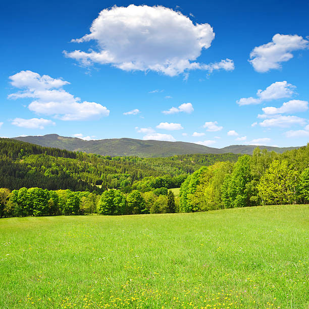 istock National park Sumava - Czech Republic 505233645