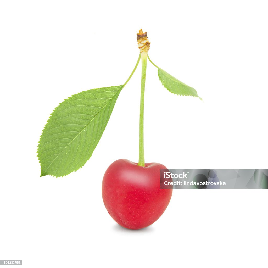 Cherry aislado - Foto de stock de Alimento libre de derechos