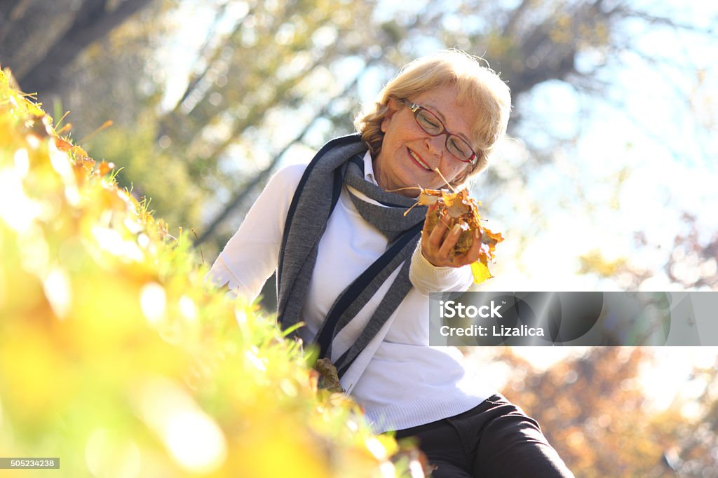 Portrait cheerful woman Portrait cheerful senior woman at park, she looking at camera and smiling 70-79 Years Stock Photo