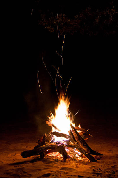 приветственный бокал лагеря огонь в сутки - log fire стоковые фото и изображения
