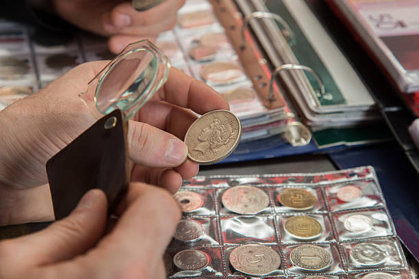 Two numismatists examines  collection of coin
