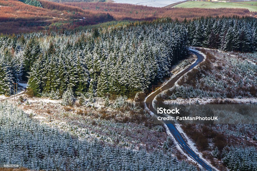 Fir trees and road with light snow covering, United Kingdom. Looking down on road and fir plantation after light covering of snow. United Kingdom. Clean Stock Photo