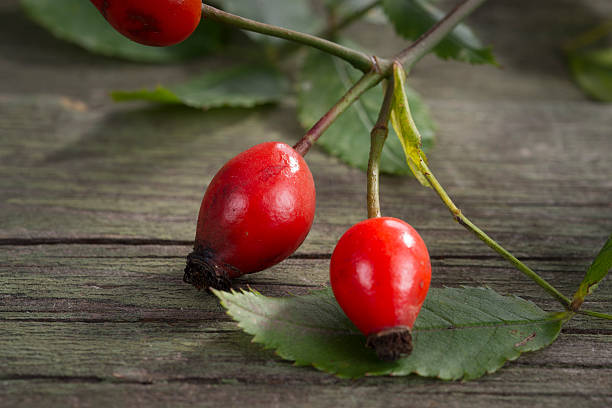 istock Dog roses on wooden background 505237782