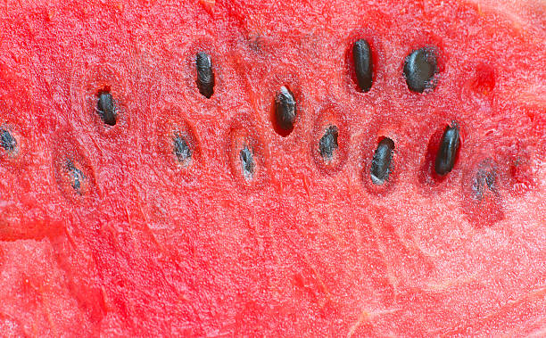 istock watermelon close-up,Watermelon fruit with seeds 505238820
