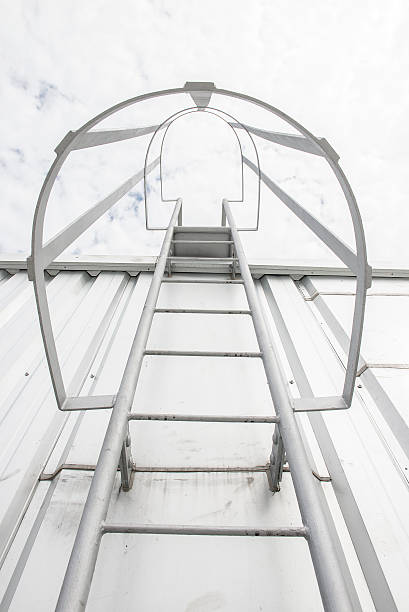 istock Factory ladder on the roof 505239616