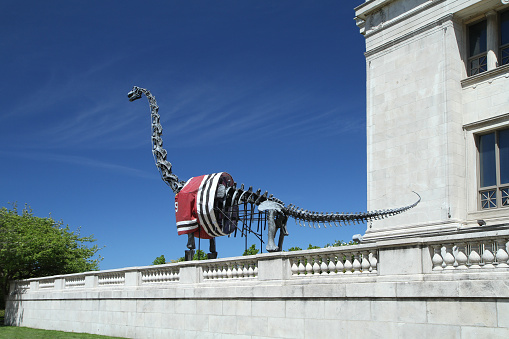 Chicago, IL, USA - MAY 24, 2014: The Field Museum's Brachiosaurus dresses in a Blackhawks jersey in support of the Chicago Blackhawks in the Stanley Cup Playoffs. 